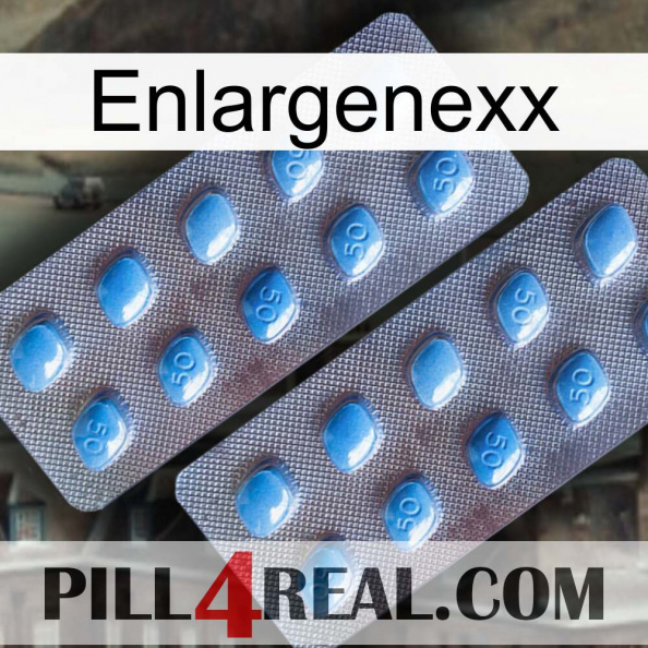 Enlargenexx viagra4.jpg